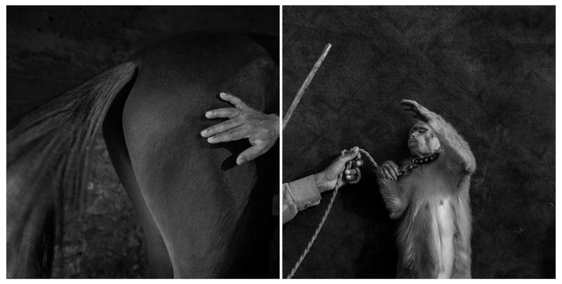 © Marylise Vigneau - Image from the AARZOO photography project