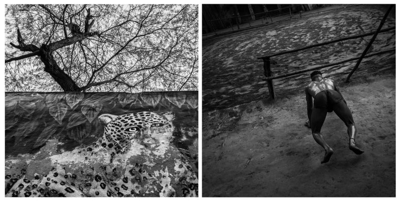 © Marylise Vigneau - Image from the AARZOO photography project