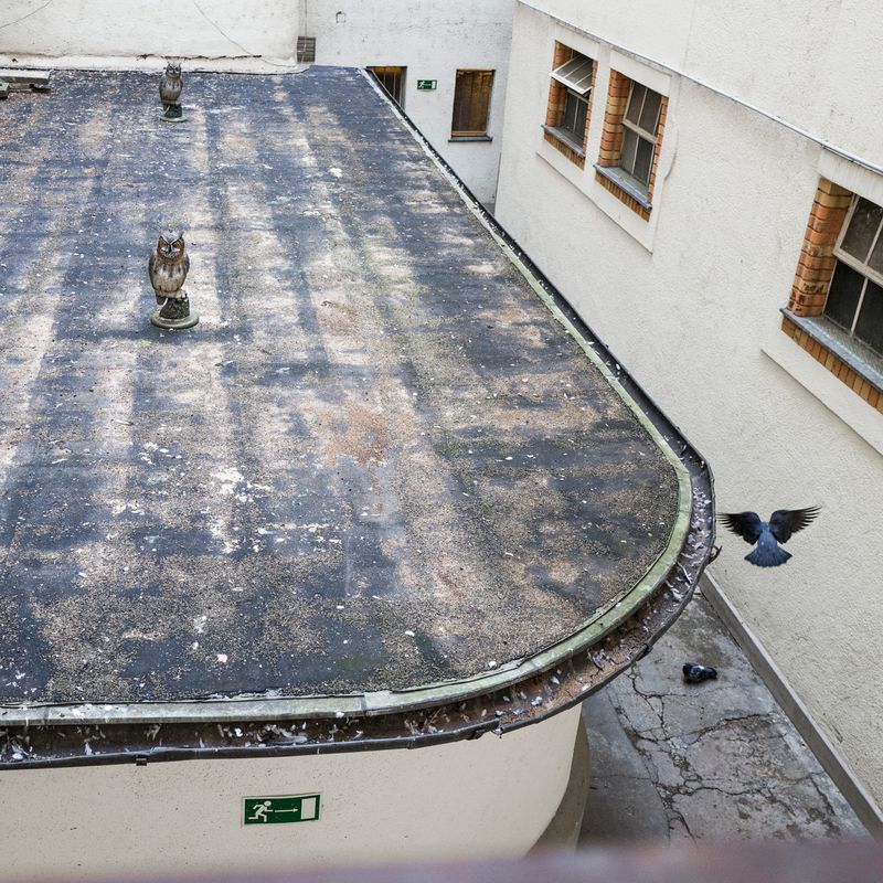 © Marylise Vigneau - Image from the A dysphoric Prowl photography project