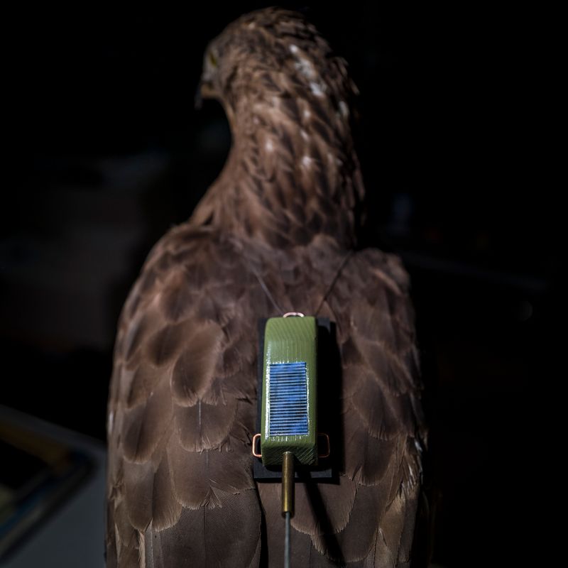 © Marylise Vigneau - Vienna, Austria