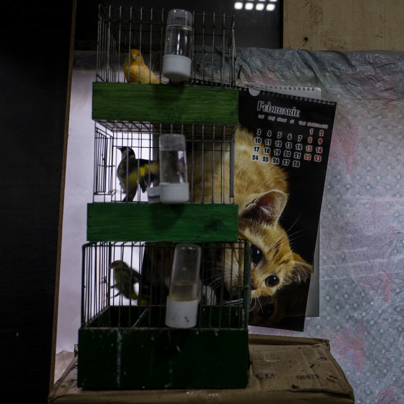 © Marylise Vigneau - Bucharest, Romania