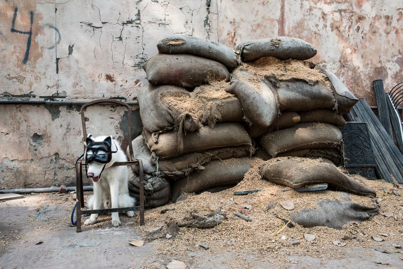 © Marylise Vigneau - Image from the ARTICLE 19 photography project