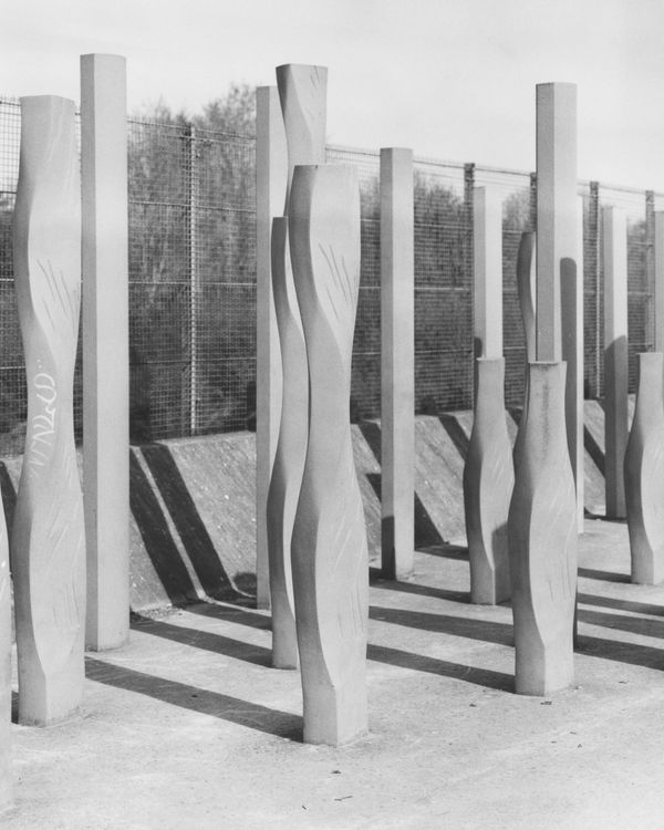 © Alexandre Silberman - Image from the NATURE photography project