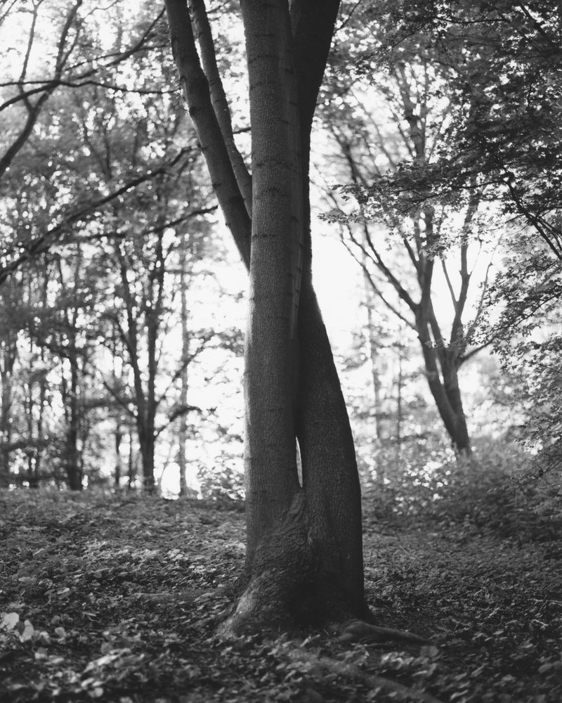 © Alexandre Silberman - Image from the NATURE photography project