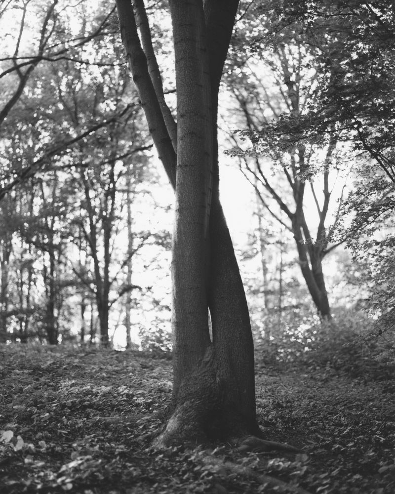 © Alexandre Silberman - Image from the NATURE photography project