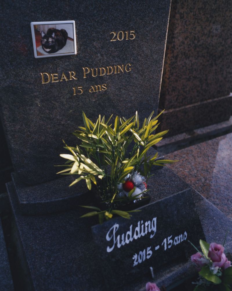 © Alexandre Silberman - Grave of Pudding