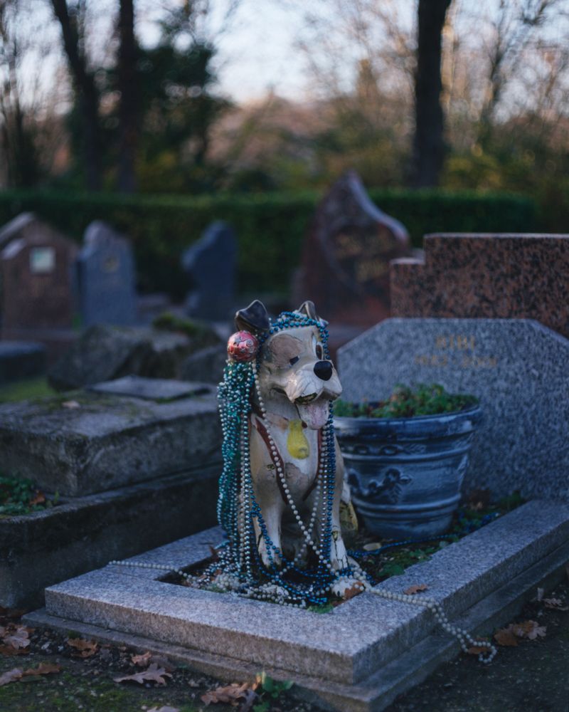 © Alexandre Silberman - Grave of Bibi