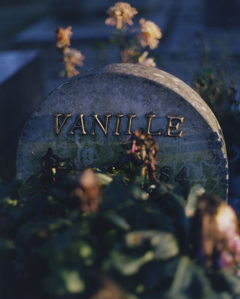 © Alexandre Silberman - Grave of Vanilla