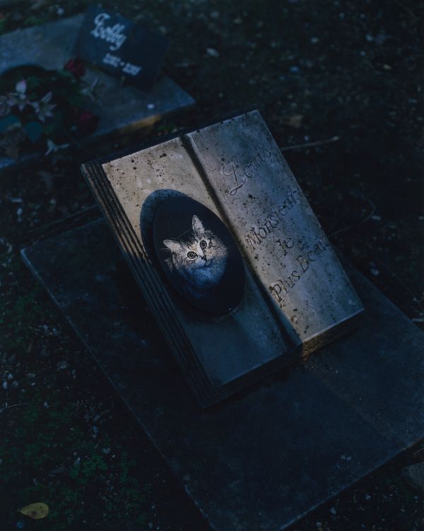 © Alexandre Silberman - Grave of Louis