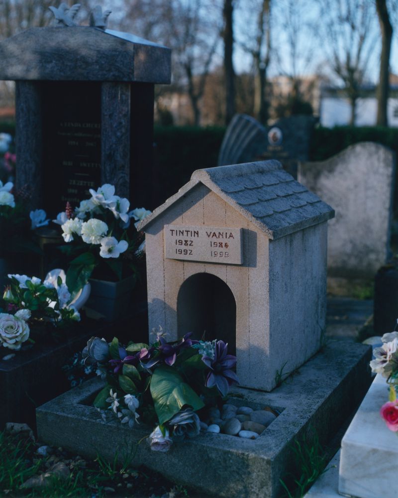 © Alexandre Silberman - Common grave of Tintin and Vania