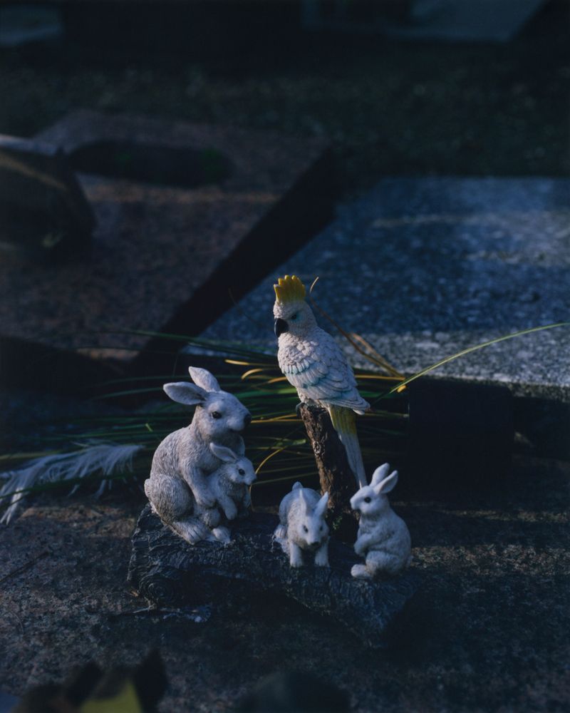 © Alexandre Silberman - Animal scene on a grave