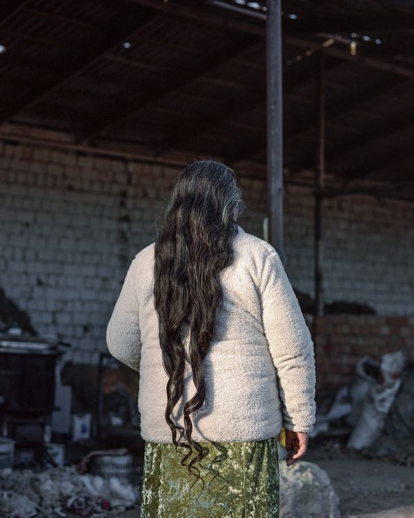 © Sebastian Rogowski - Image from the Suicidal Birds photography project