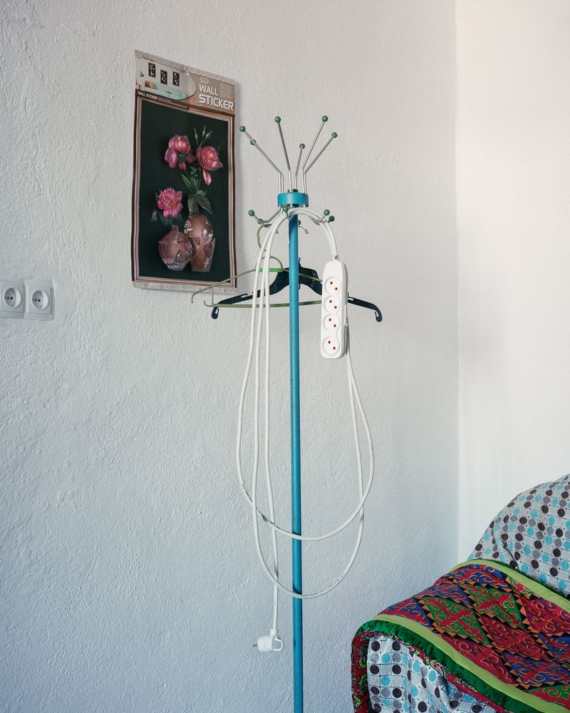 © Sebastian Rogowski - Image from the Suicidal Birds photography project