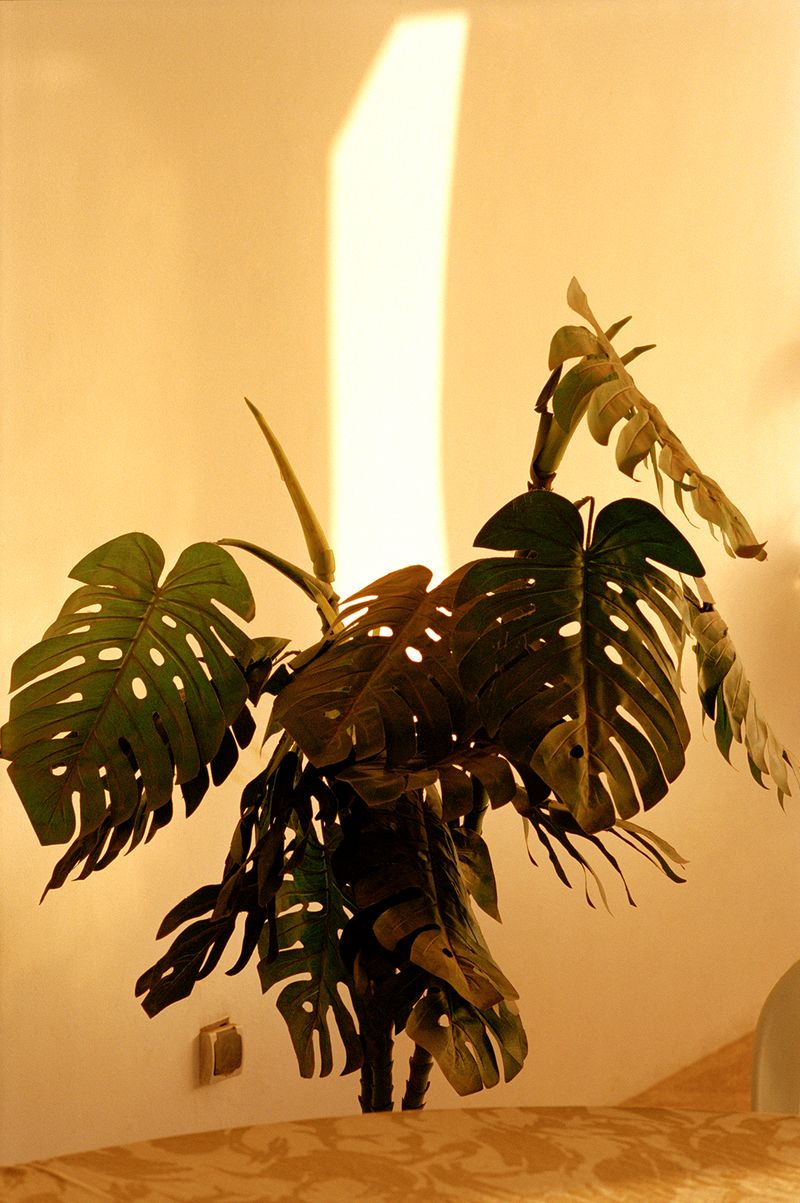 © Henry Roy - Image from the THE OTHER SIDE photography project