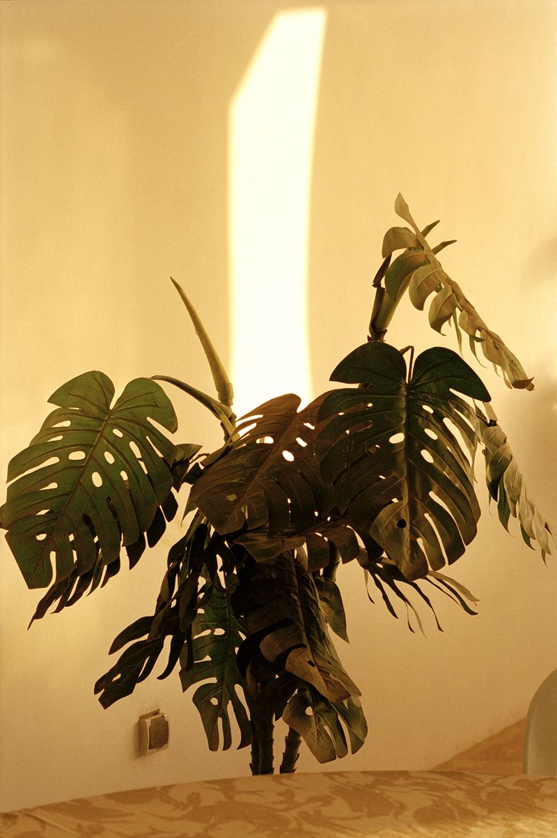 © Henry Roy - Image from the THE OTHER SIDE photography project