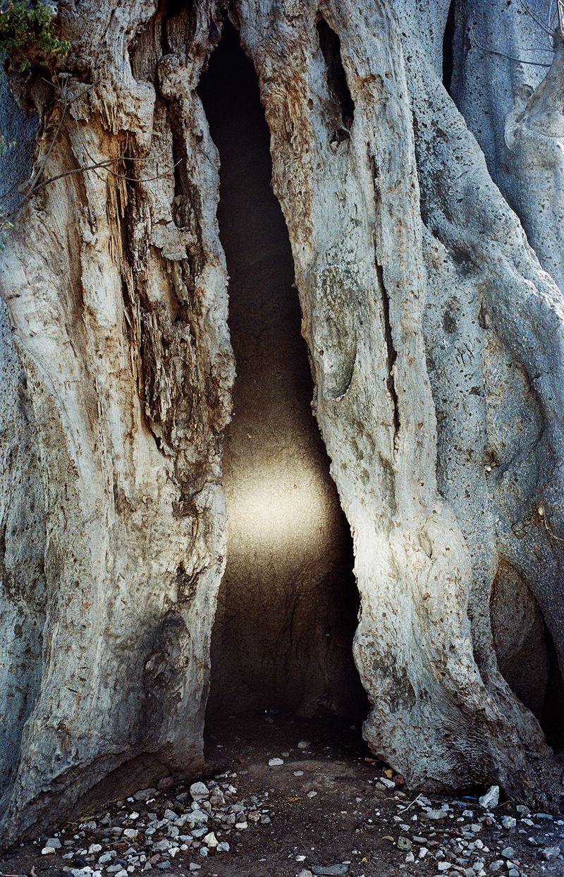 © Henry Roy - Image from the THE OTHER SIDE photography project