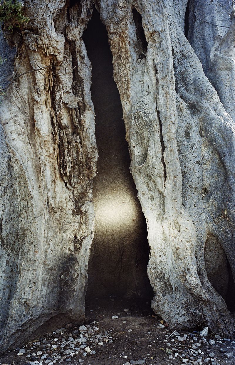 © Henry Roy - Image from the THE OTHER SIDE photography project
