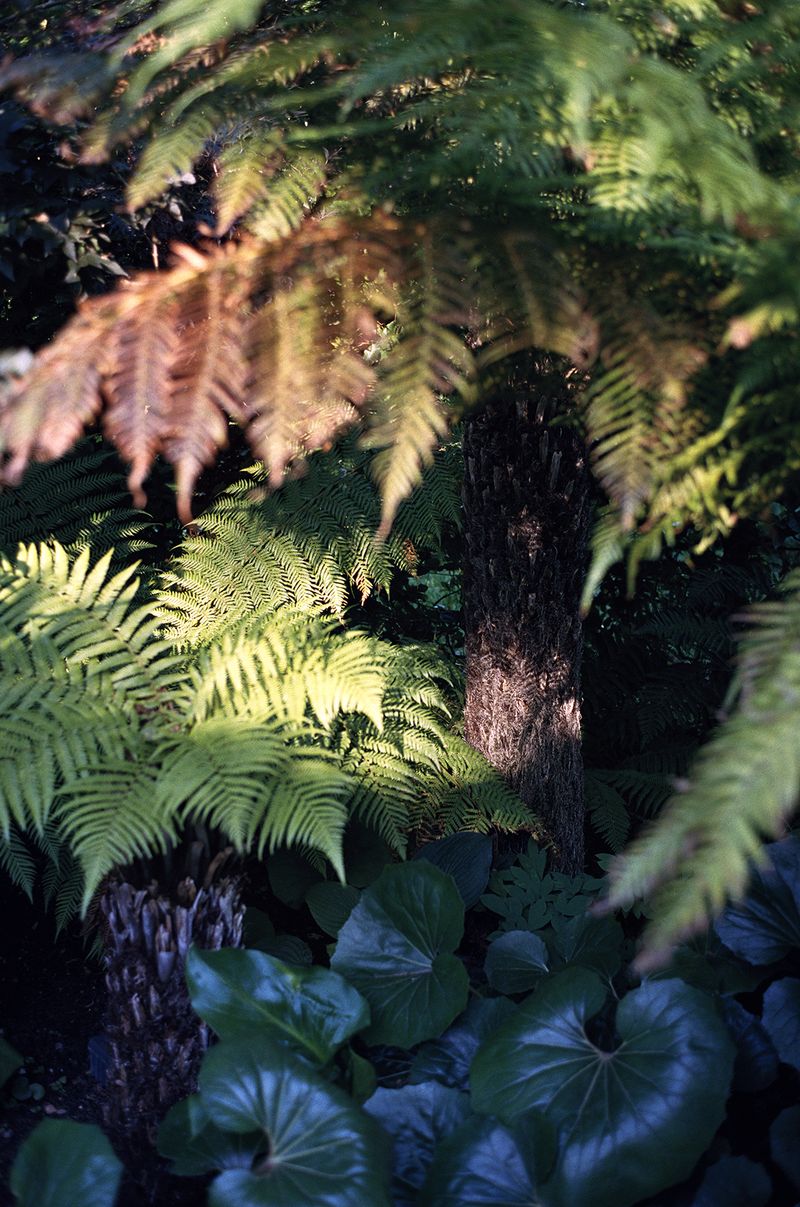 © Henry Roy - Image from the THE OTHER SIDE photography project