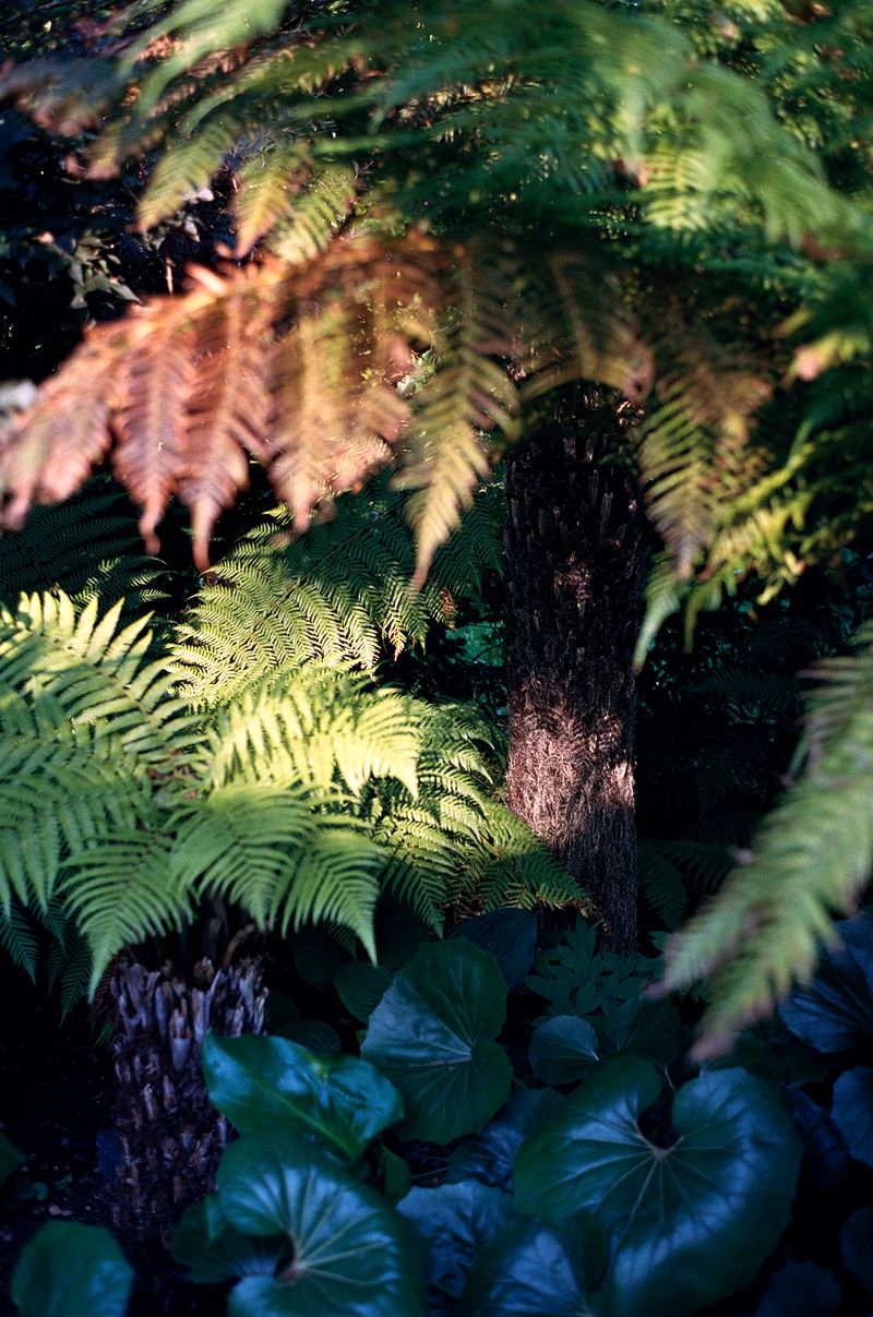 © Henry Roy - Image from the THE OTHER SIDE photography project