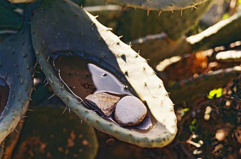 © Henry Roy - Image from the THE OTHER SIDE photography project