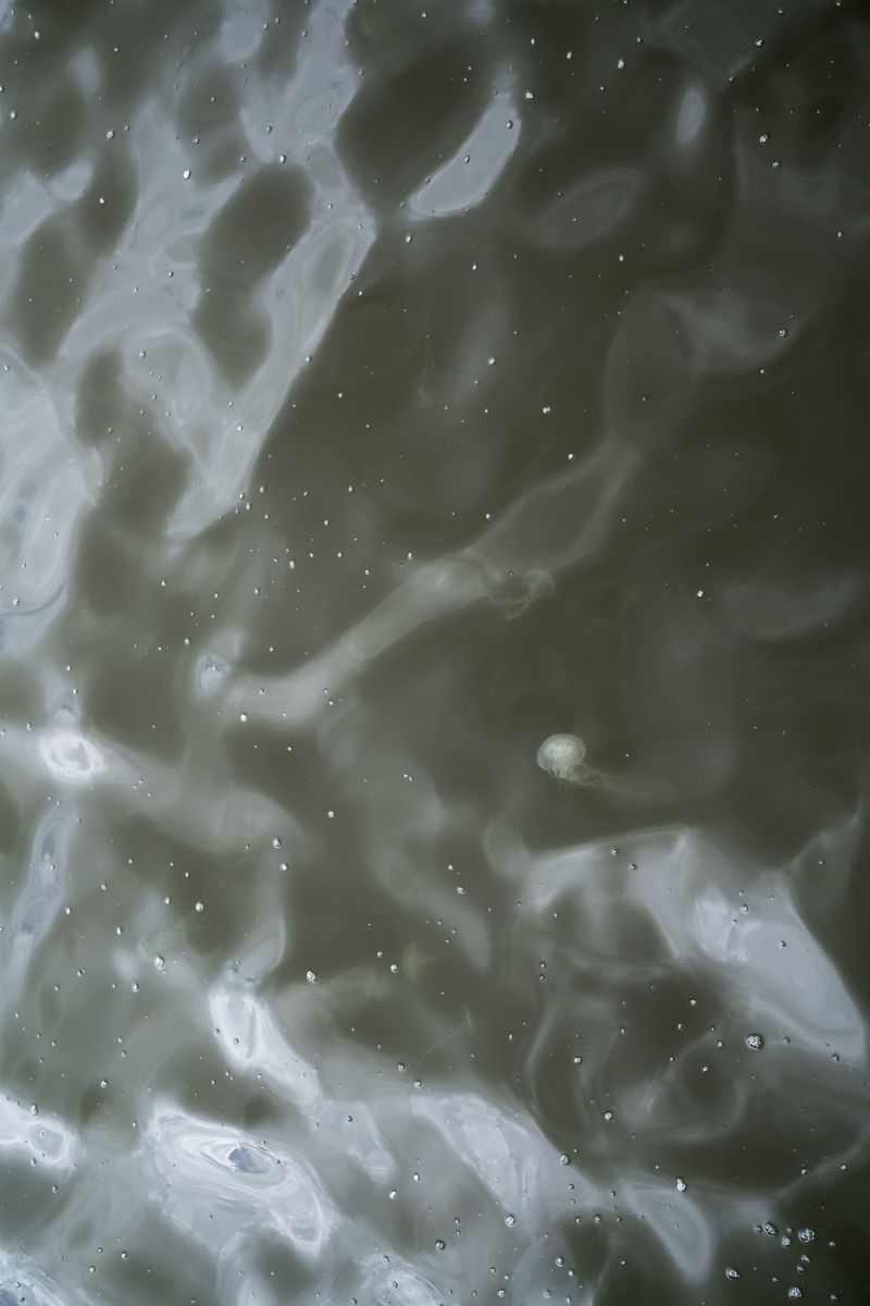 © Kaitlin Jencso - Image from the We Miss You photography project