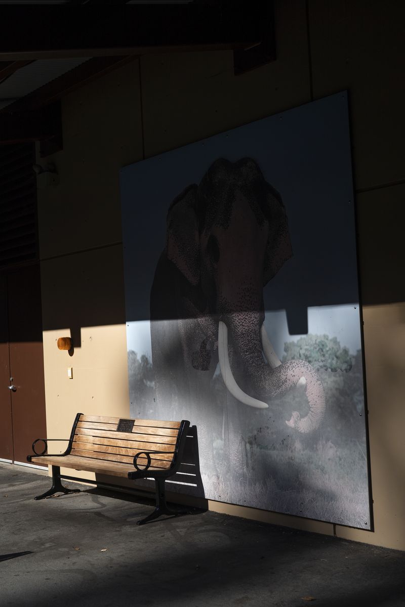 © Kaitlin Jencso - Image from the We Miss You photography project