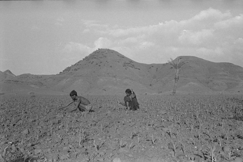 © Jaisingh Nageswaran - Image from the THE LAND THAT IS NO MORE photography project