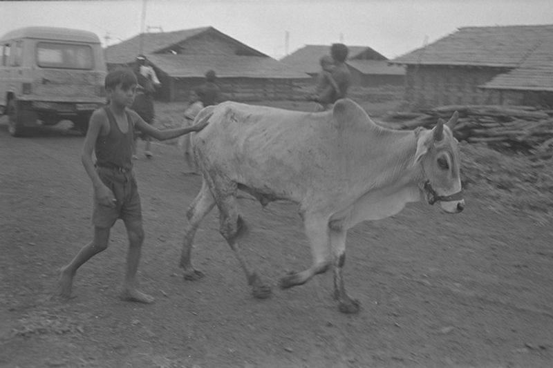 © Jaisingh Nageswaran - Image from the THE LAND THAT IS NO MORE photography project