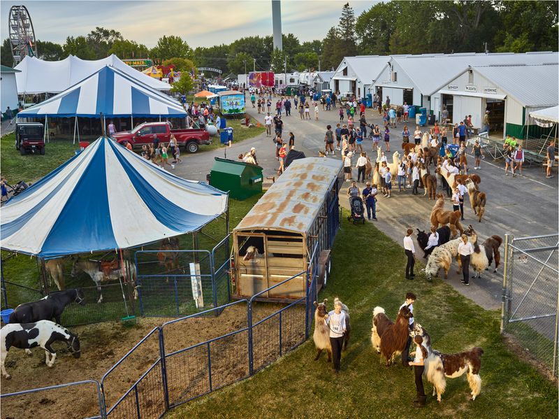 © R. J. Kern - Llama Mamas, Carver County Fair, Minnesota, 2022
