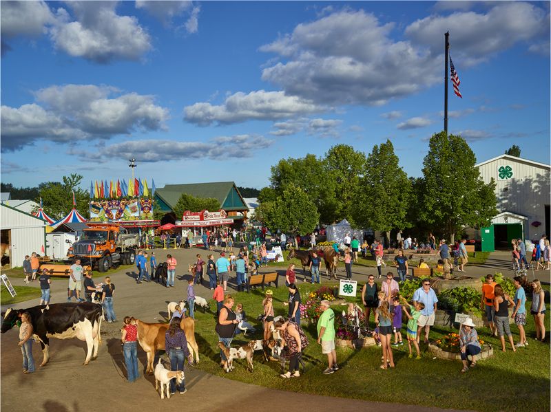 © R. J. Kern - A Gaggle of Art Collectors, Beltrami County Fair, Minnesota, 2022