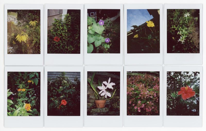 © RACHEL TREIDE - "A Minute Fraction of All the Flowers I've Ever Seen," photographs 51-60