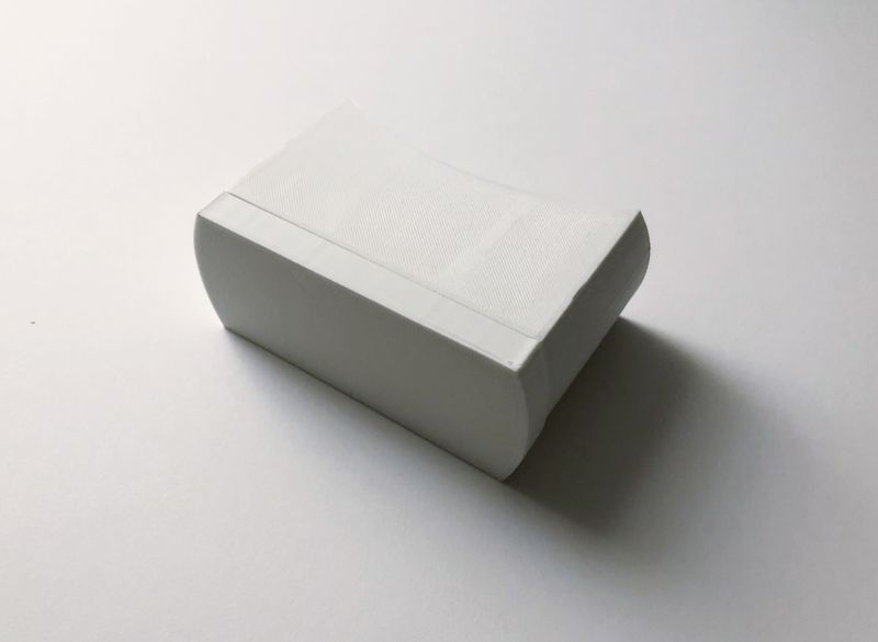 © RACHEL TREIDE - 3D printed model