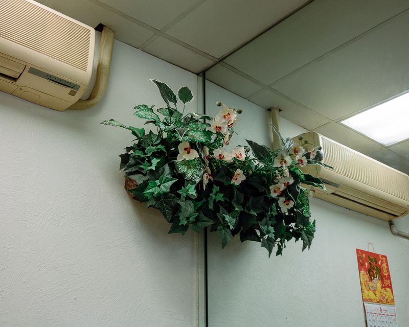 © Matthew Chan - Nem Nuong Khanh Hoa, Alhambra, California 2019