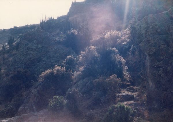 © Joseph Ladrón de Guevara - Image from the Si el sol llegara a oscurecer (y no brille más) photography project