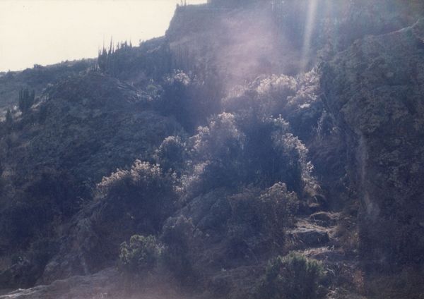 © Joseph Ladrón de Guevara - Image from the Si el sol llegara a oscurecer (y no brille más) photography project