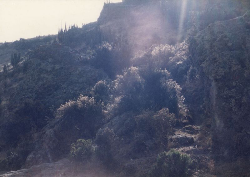 © Joseph Ladrón de Guevara - Image from the Si el sol llegara a oscurecer (y no brille más) photography project