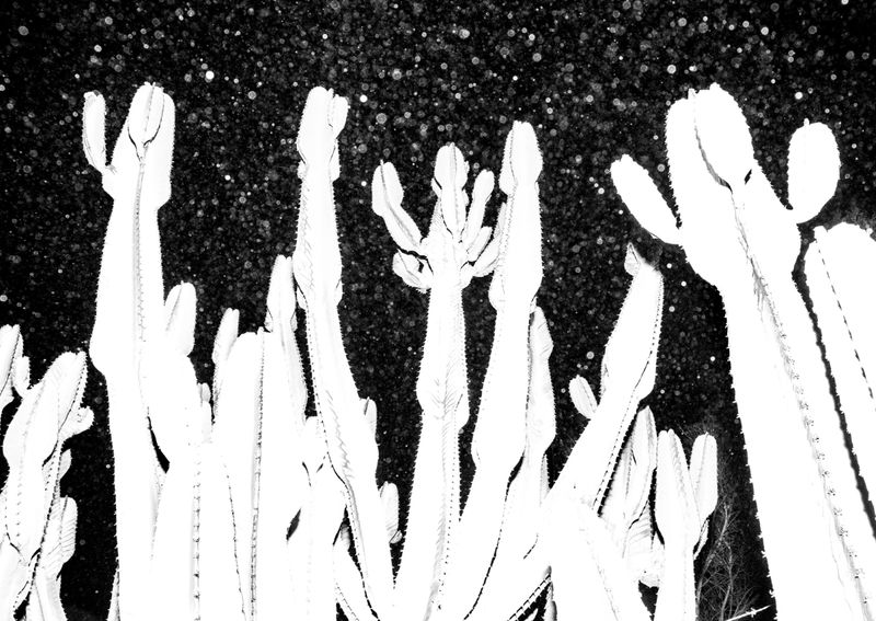 © Joseph Ladrón de Guevara - Image from the Si el sol llegara a oscurecer (y no brille más) photography project