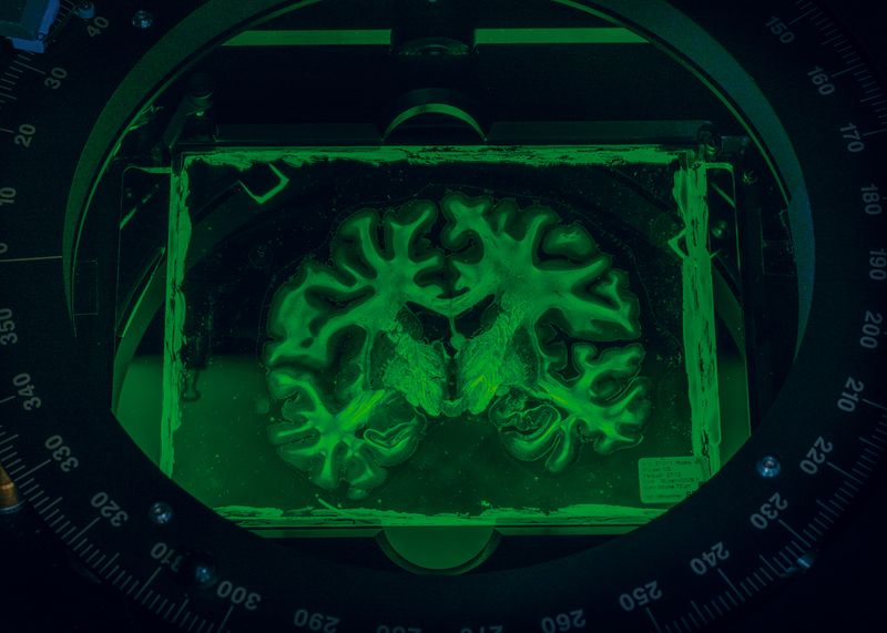 © Volker Crone - Image from the The Order Of Things photography project