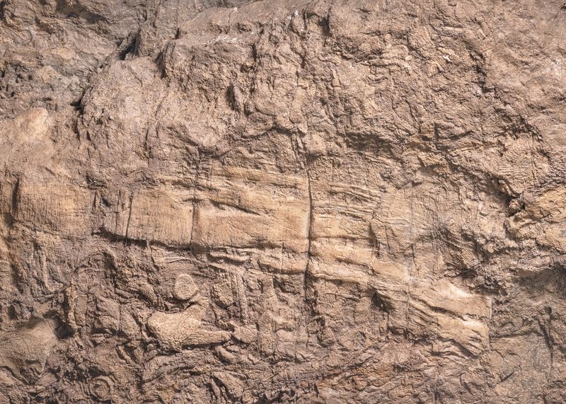 © Volker Crone - Giant cave "Windhole" -Reef limestone is formed from accumulations of fixed marine organisms.