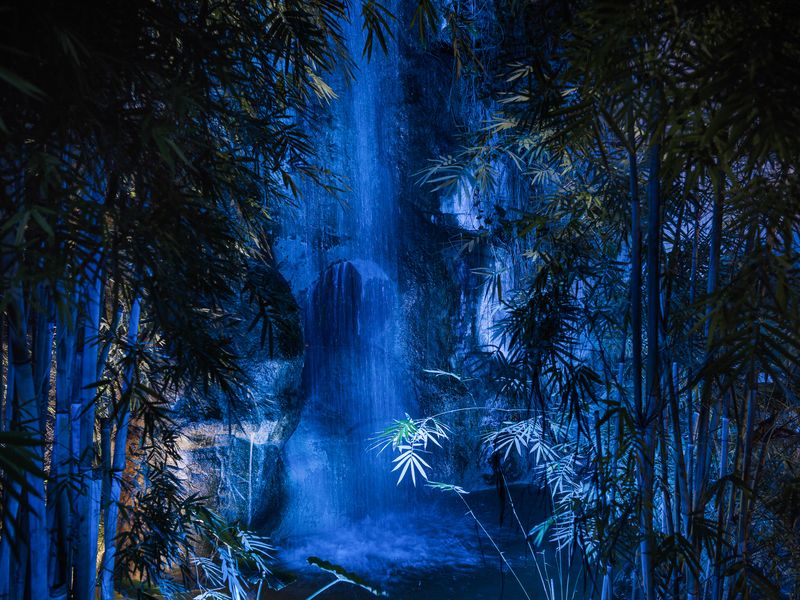 © Volker Crone - Tropical lights in an indoor zoo.