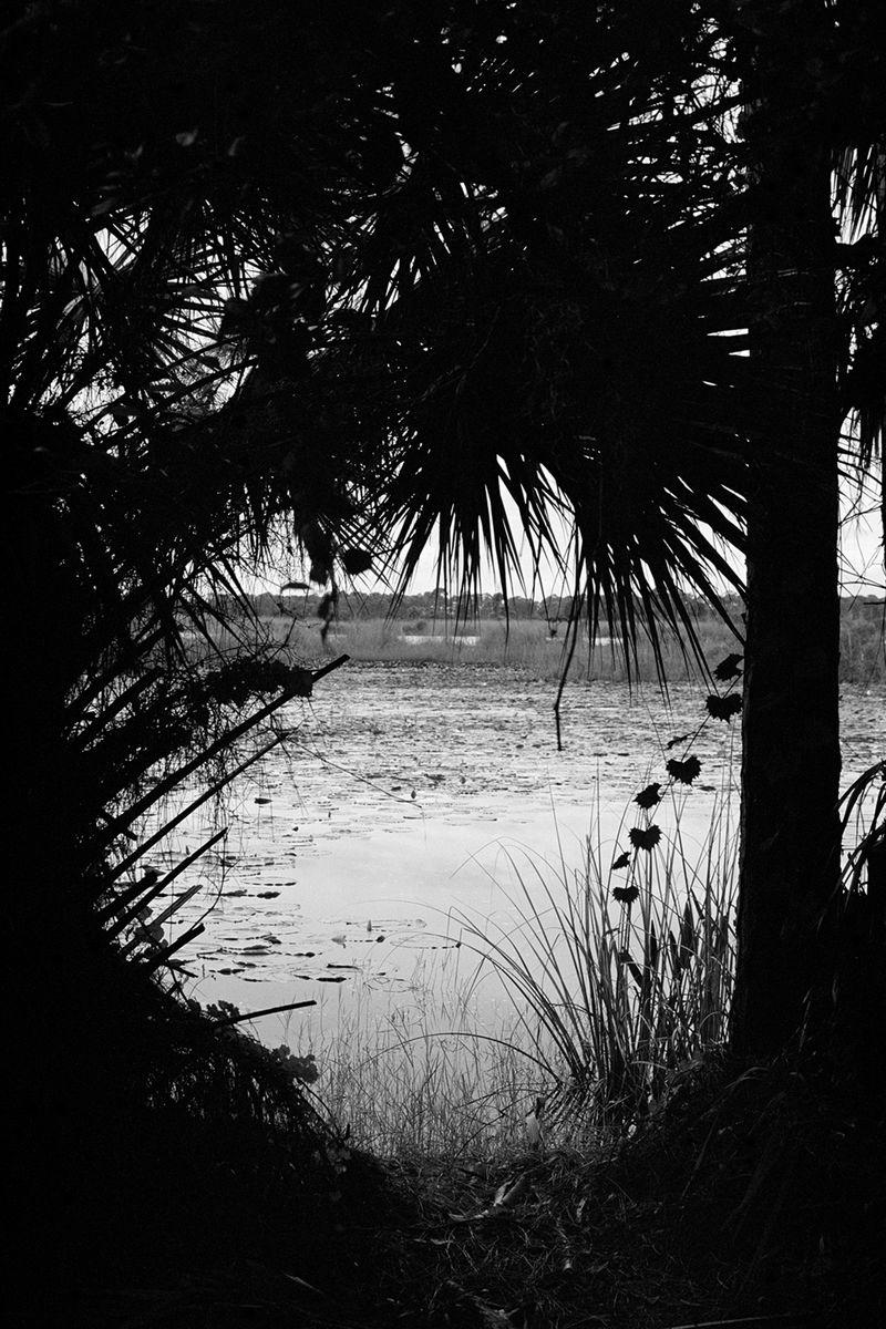 © Ella Simmons - Image from the Treasure Coast photography project