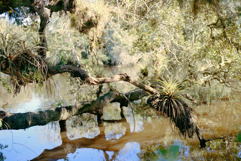 © Ella Simmons - Image from the Treasure Coast photography project
