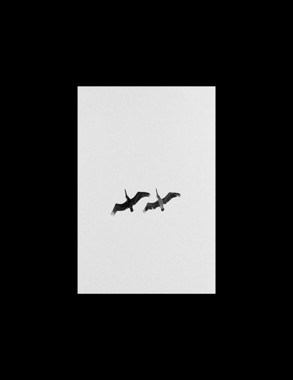 © Ella Simmons - Image from the Treasure Coast photography project