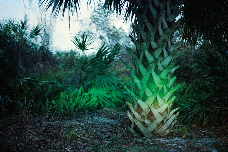 © Ella Simmons - Image from the Treasure Coast photography project