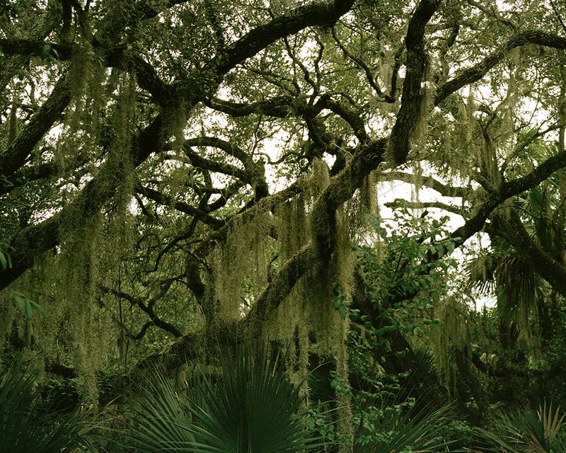 © Ella Simmons - Image from the Treasure Coast photography project
