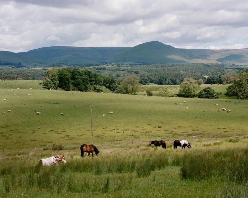 © Juliet Klottrup - Appleby Horse Fair from fair hill