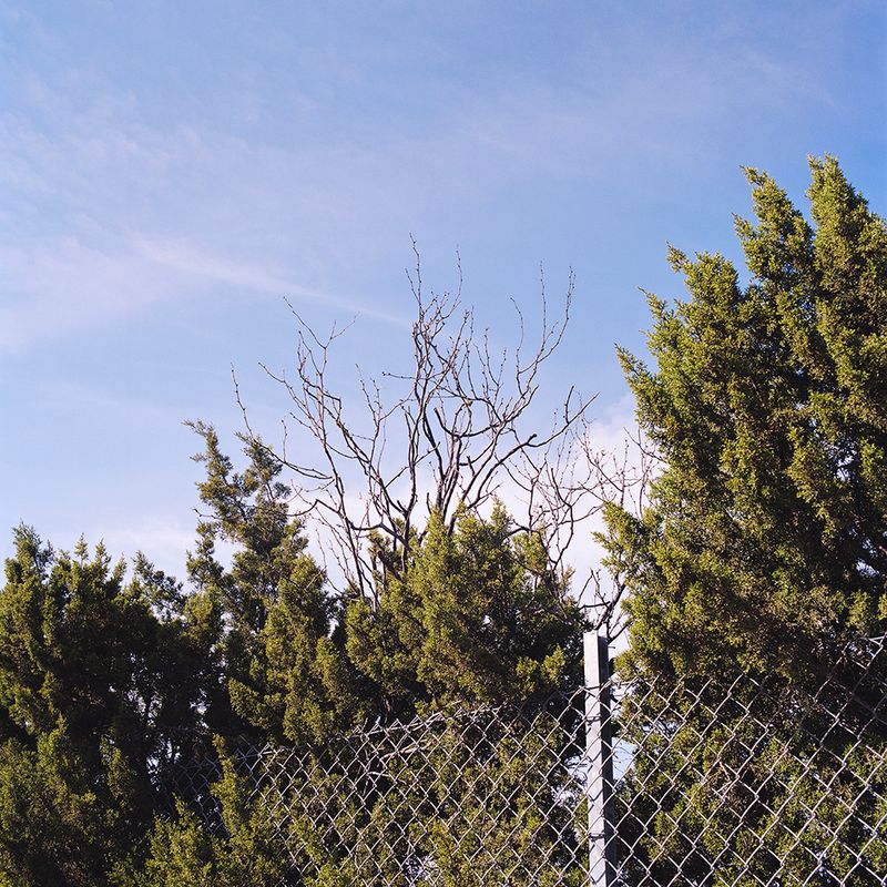 © Ariana Gomez - Image from the The Blue of Distance photography project