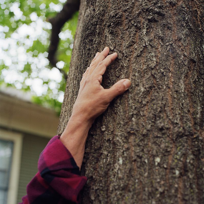 © Ariana Gomez - Image from the The Blue of Distance photography project