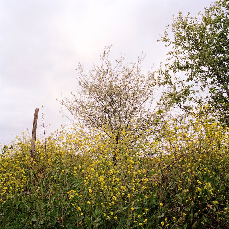 © Ariana Gomez - Image from the The Blue of Distance photography project