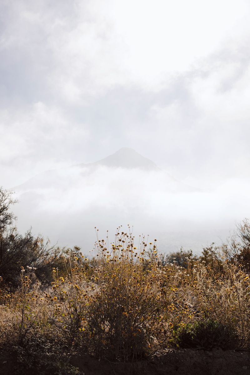 © Ariana Gomez - Image from the My Mother Speaks of Land as Memory photography project